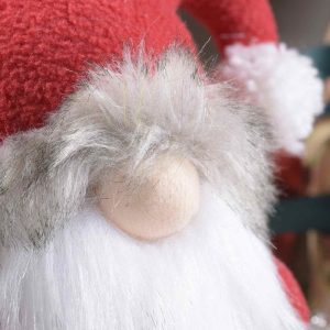 zelqorvaxi.live - Gnomo con barba e cappello con pompon