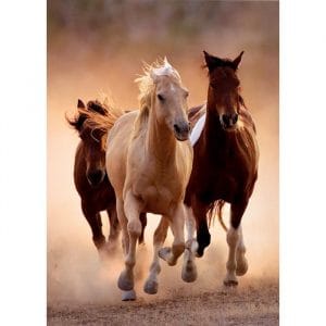 Puzzle 1000 Running horses