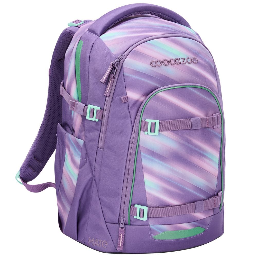 Zaino ergonomico Coocazoo Mate Artic Lights