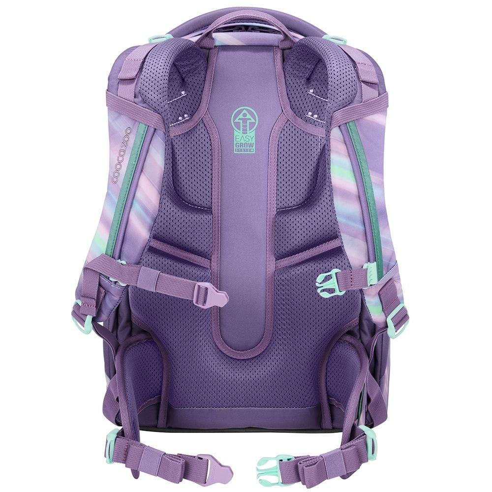 Zaino ergonomico Coocazoo Mate Artic Lights