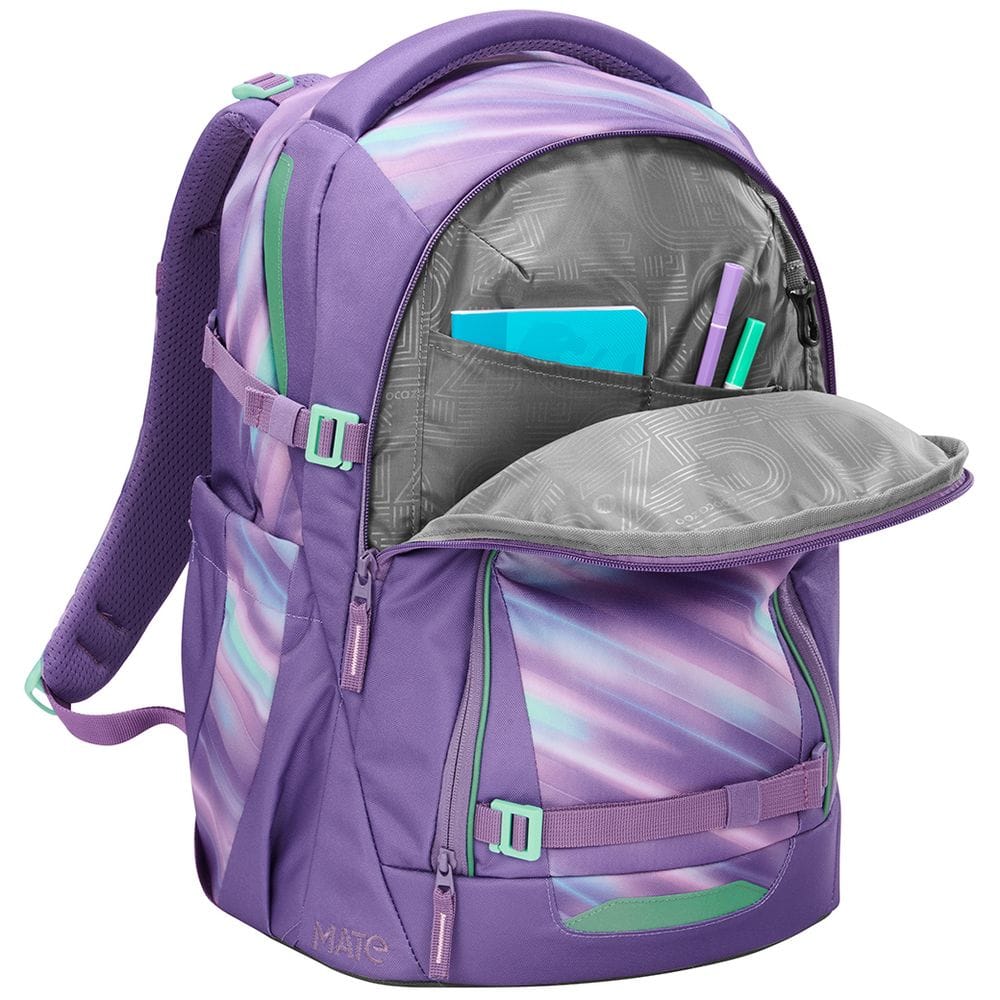 Zaino ergonomico Coocazoo Mate Artic Lights